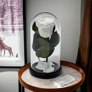 Trandafir Criogenat alb Ø6,5cm in cupola de sticla 10x20cm - Trandafir-Criogenat.ro