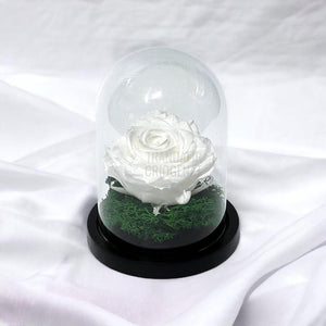 Trandafir Criogenat alb Ø8cm in cupola de sticla 10x15cm - Trandafir-Criogenat.ro