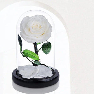 Trandafir Criogenat alb Ø8cm in cupola de sticla 12x25cm - Trandafir-Criogenat.ro