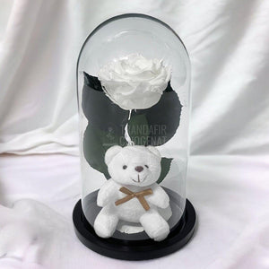 Trandafir Criogenat alb Ø8cm in cupola de sticla cu Ursulet - Trandafir-Criogenat.ro