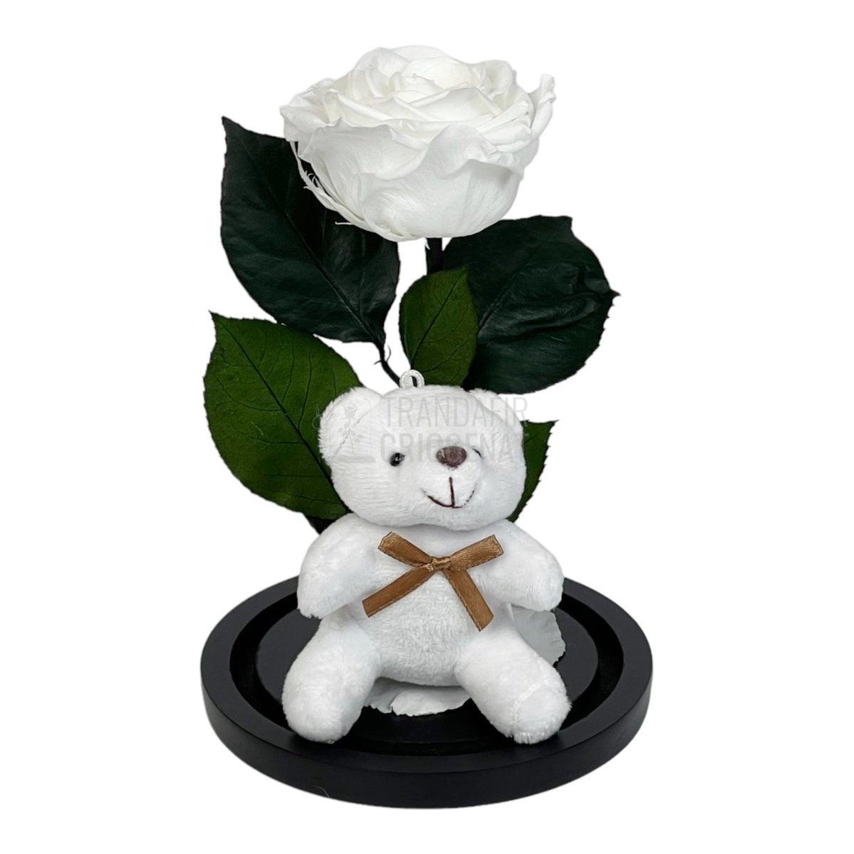 Trandafir Criogenat alb Ø8cm in cupola de sticla cu Ursulet - Trandafir-Criogenat.ro