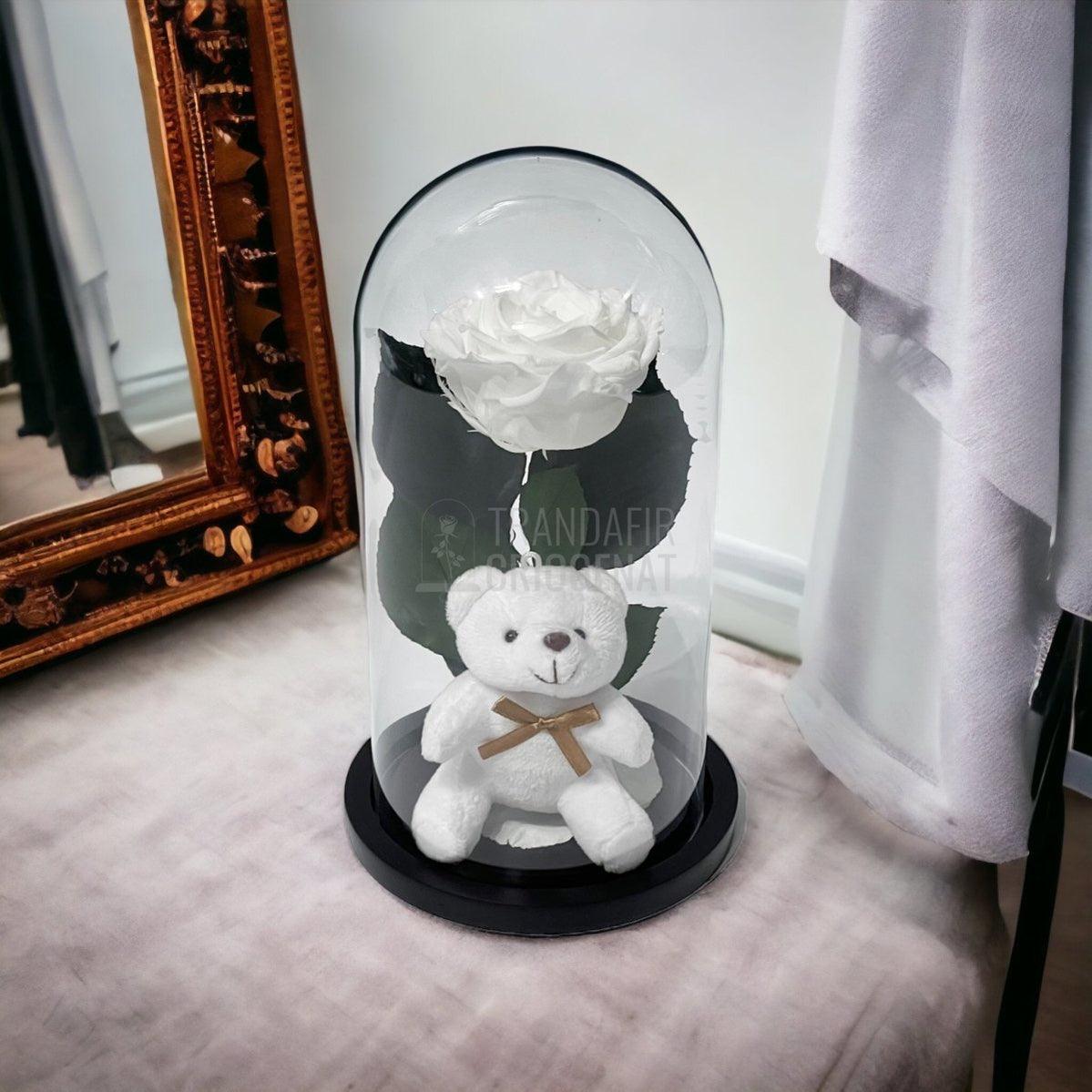 Trandafir Criogenat alb Ø8cm in cupola de sticla cu Ursulet - Trandafir-Criogenat.ro