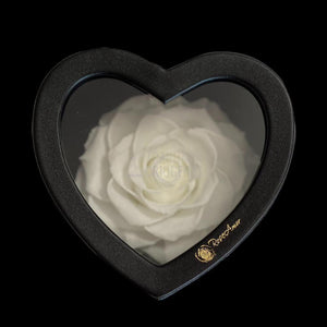 Trandafir Criogenat alb Ø9cm in cutie inima 13x13x8cm - Trandafir-Criogenat.ro
