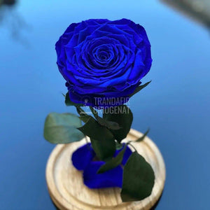Trandafir Criogenat albastru_1 Ø9,5cm in cupola sticla - Trandafir-Criogenat.ro