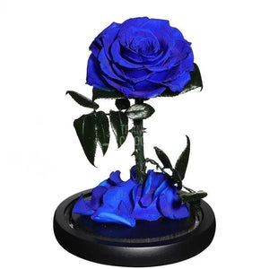 Trandafir Criogenat albastru bonita Ø9,5cm in cupola 12x25cm - Trandafir-Criogenat.ro