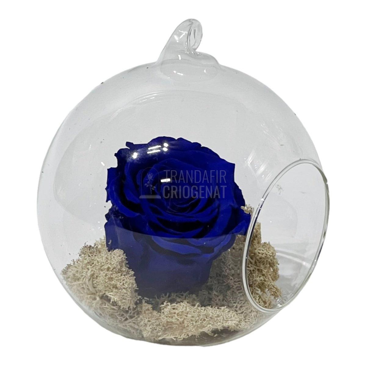 Trandafir Criogenat albastru in glob de sticla Ø12cm - Trandafir-Criogenat.ro