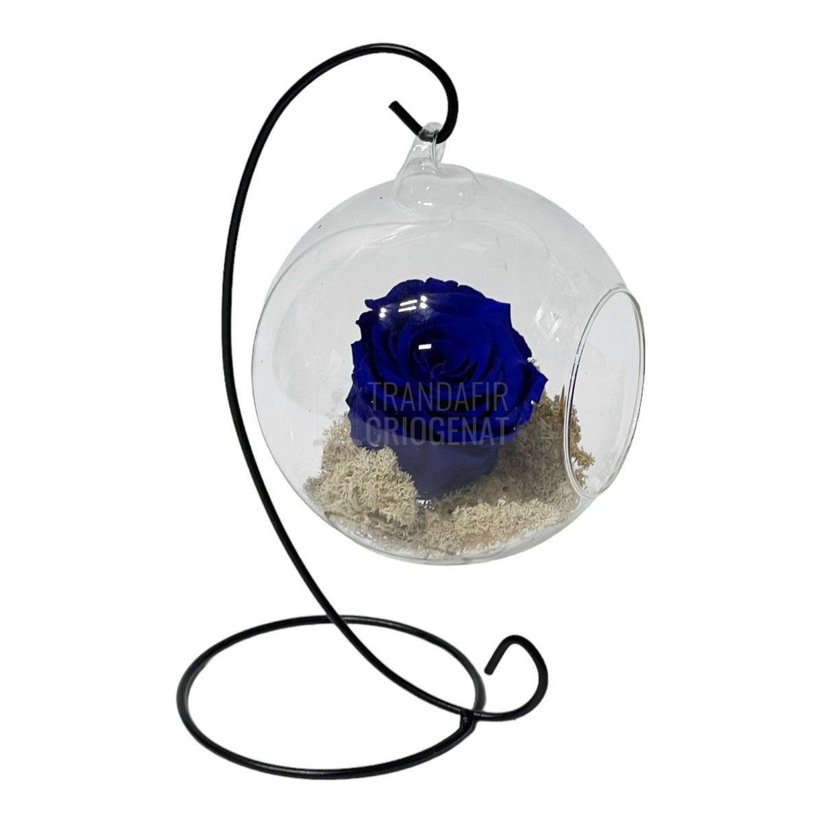 Trandafir Criogenat albastru in glob sticla suspendat Ø12cm - Trandafir-Criogenat.ro