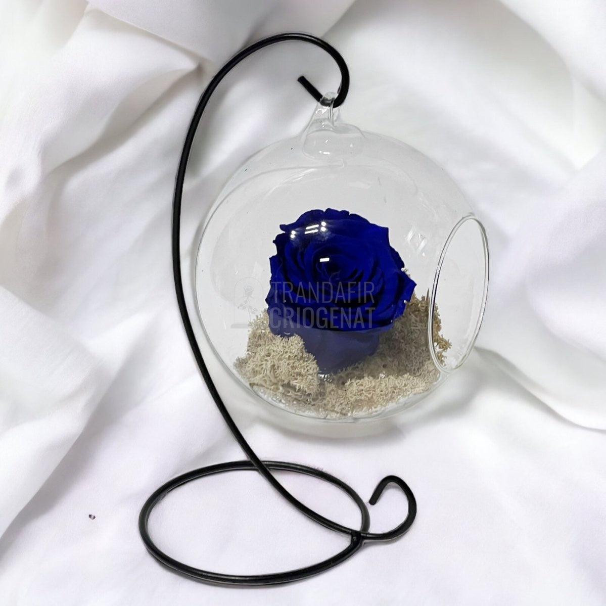 Trandafir Criogenat albastru in glob sticla suspendat Ø12cm - Trandafir-Criogenat.ro