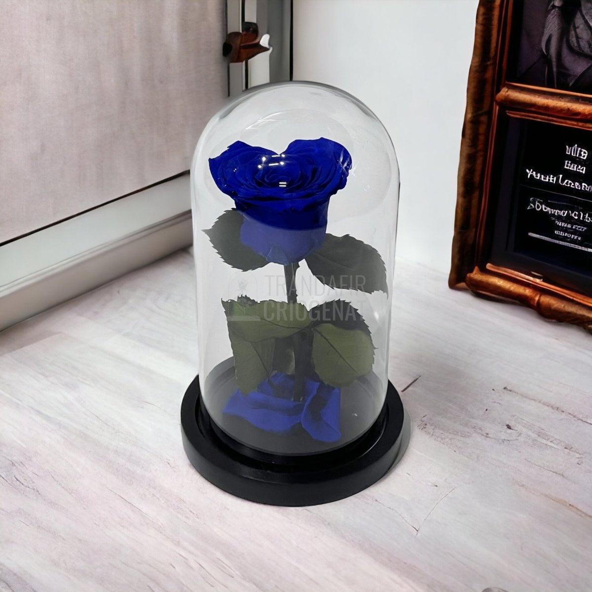 Trandafir Criogenat albastru inima Ø8cm in cupola de sticla - Trandafir-Criogenat.ro