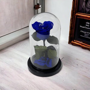 Trandafir Criogenat albastru inima Ø8cm in cupola de sticla - Trandafir-Criogenat.ro