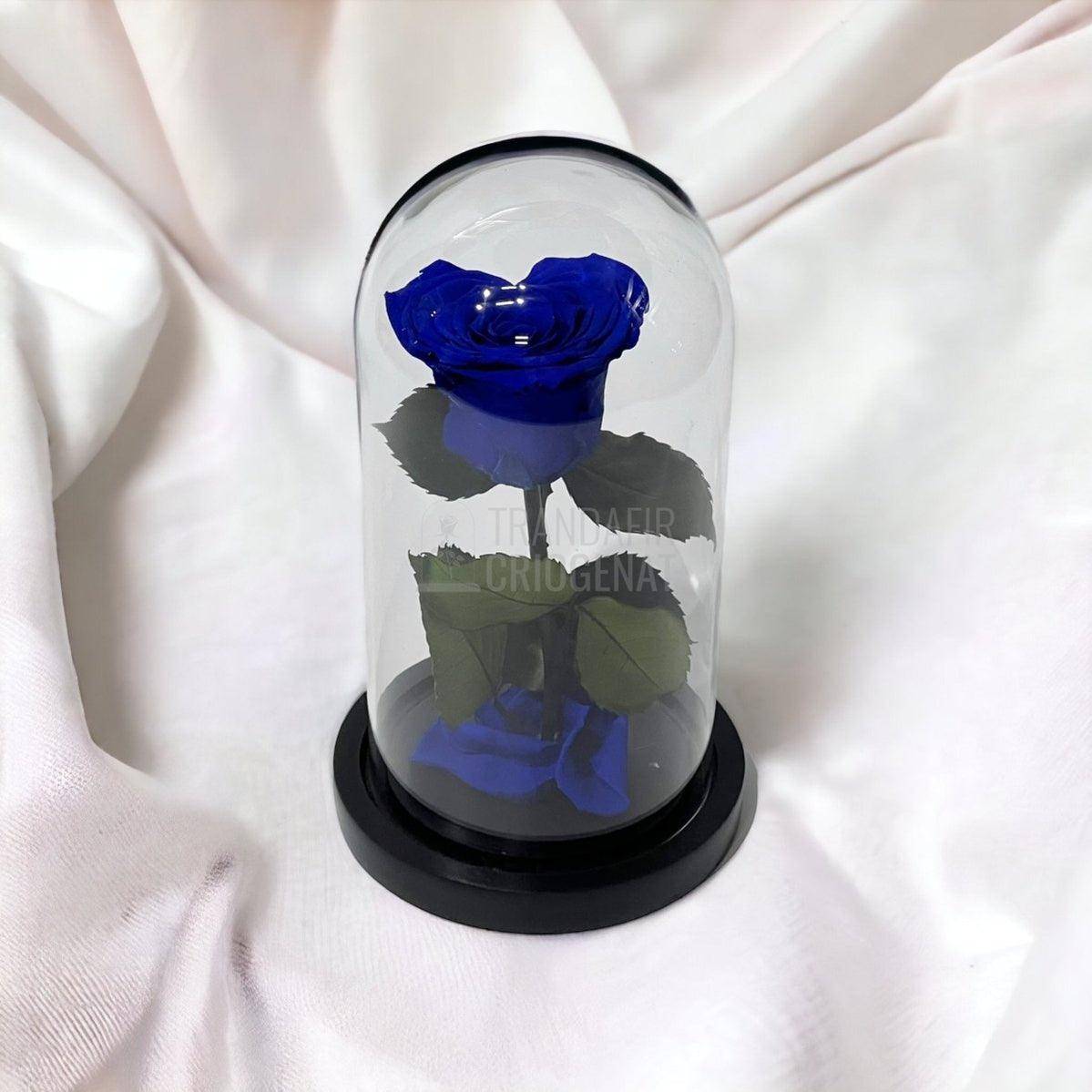 Trandafir Criogenat albastru inima Ø8cm in cupola de sticla - Trandafir-Criogenat.ro