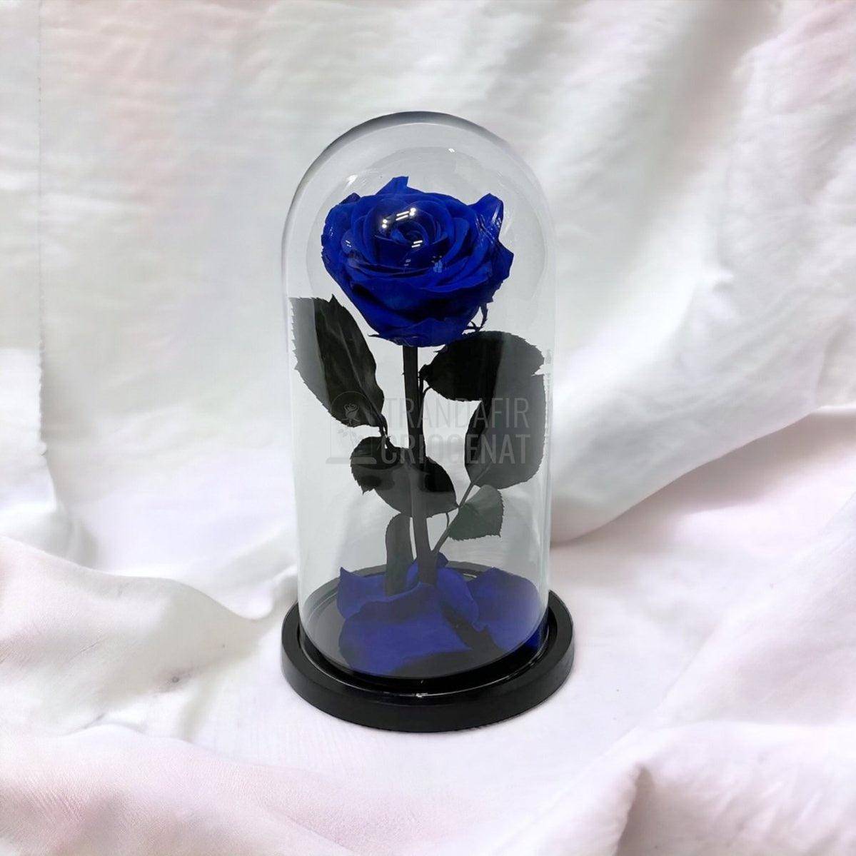 Trandafir Criogenat albastru Ø8cm in cupola de sticla 12x25cm - Trandafir-Criogenat.ro