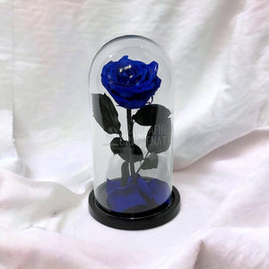 Trandafir Criogenat albastru Ø8cm in cupola de sticla 12x25cm - Trandafir-Criogenat.ro