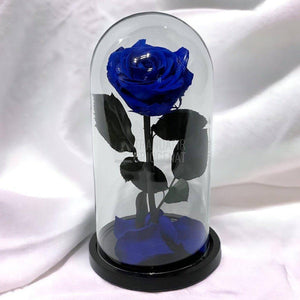 Trandafir Criogenat albastru Ø8cm in cupola de sticla 12x25cm - Trandafir-Criogenat.ro