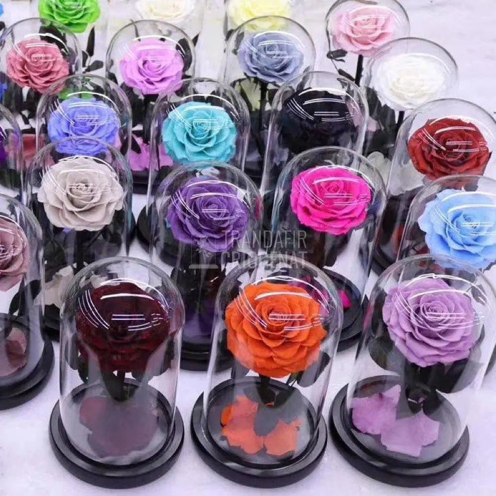 Trandafir Criogenat albastru Ø8cm in cupola de sticla, cu mesaj - Trandafir-Criogenat.ro