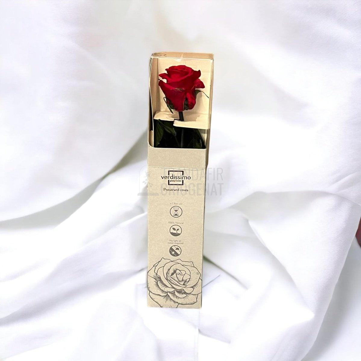 Trandafir Criogenat Amorosa rosu Ø3,5-4,5cm in cutie cadou - Trandafir-Criogenat.ro