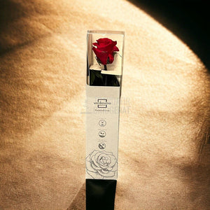 Trandafir Criogenat Amorosa rosu Ø3,5-4,5cm in cutie cadou - Trandafir-Criogenat.ro