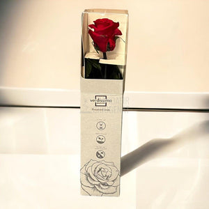 Trandafir Criogenat Amorosa rosu Ø3,5-4,5cm in cutie cadou - Trandafir-Criogenat.ro