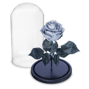 Trandafir Criogenat argintiu Ø6,5cm in cupola sticla 10x20cm - Trandafir-Criogenat.ro