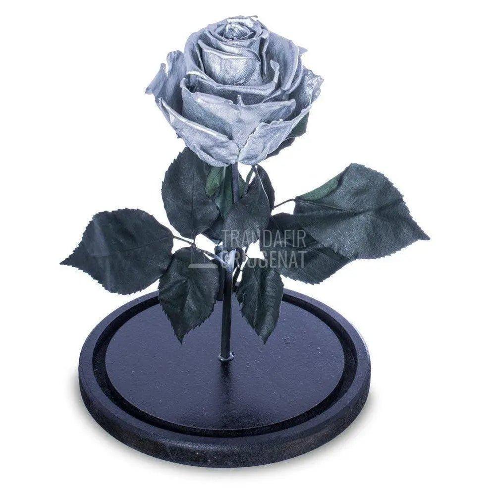 Trandafir Criogenat argintiu Ø6,5cm in cupola sticla 10x20cm - Trandafir-Criogenat.ro