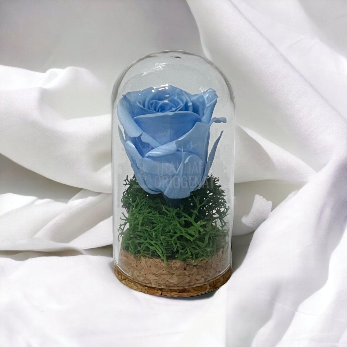 Trandafir Criogenat bleu in cupola de sticla 5x9,5cm (marturie) - Trandafir-Criogenat.ro
