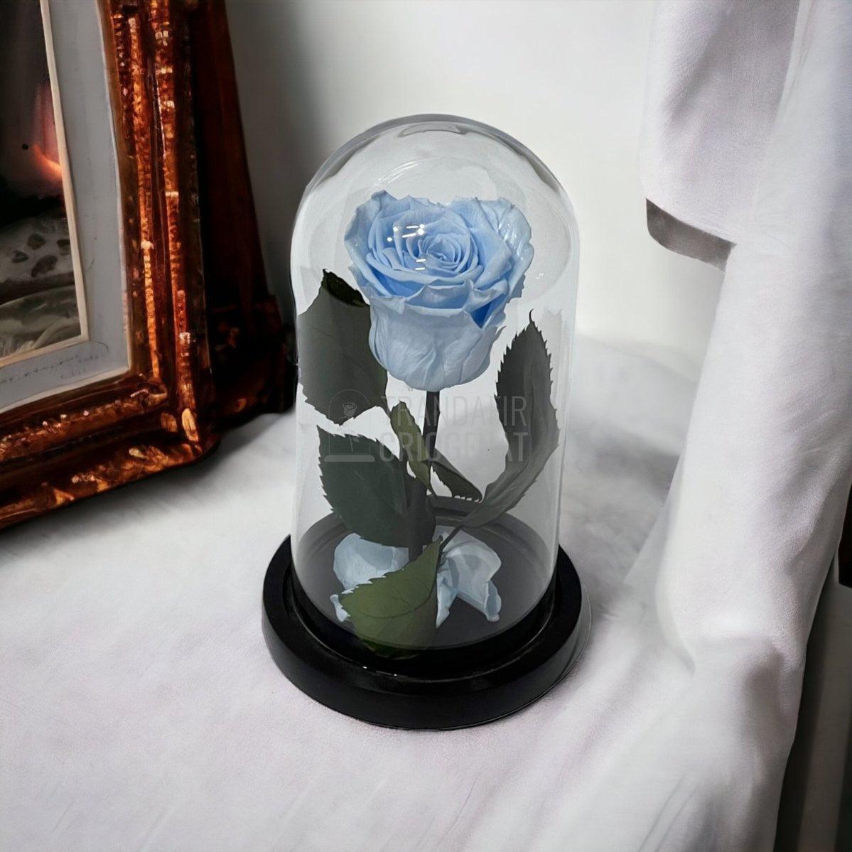 Trandafir Criogenat bleu Ø6,5cm in cupola sticla 10x20cm - Trandafir-Criogenat.ro