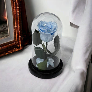 Trandafir Criogenat bleu Ø6,5cm in cupola sticla 10x20cm - Trandafir-Criogenat.ro