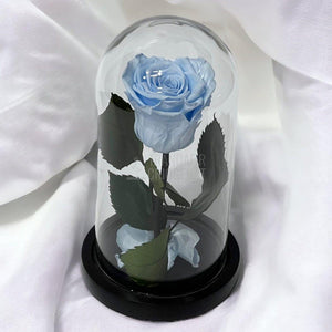 Trandafir Criogenat bleu Ø6,5cm in cupola sticla 10x20cm - Trandafir-Criogenat.ro