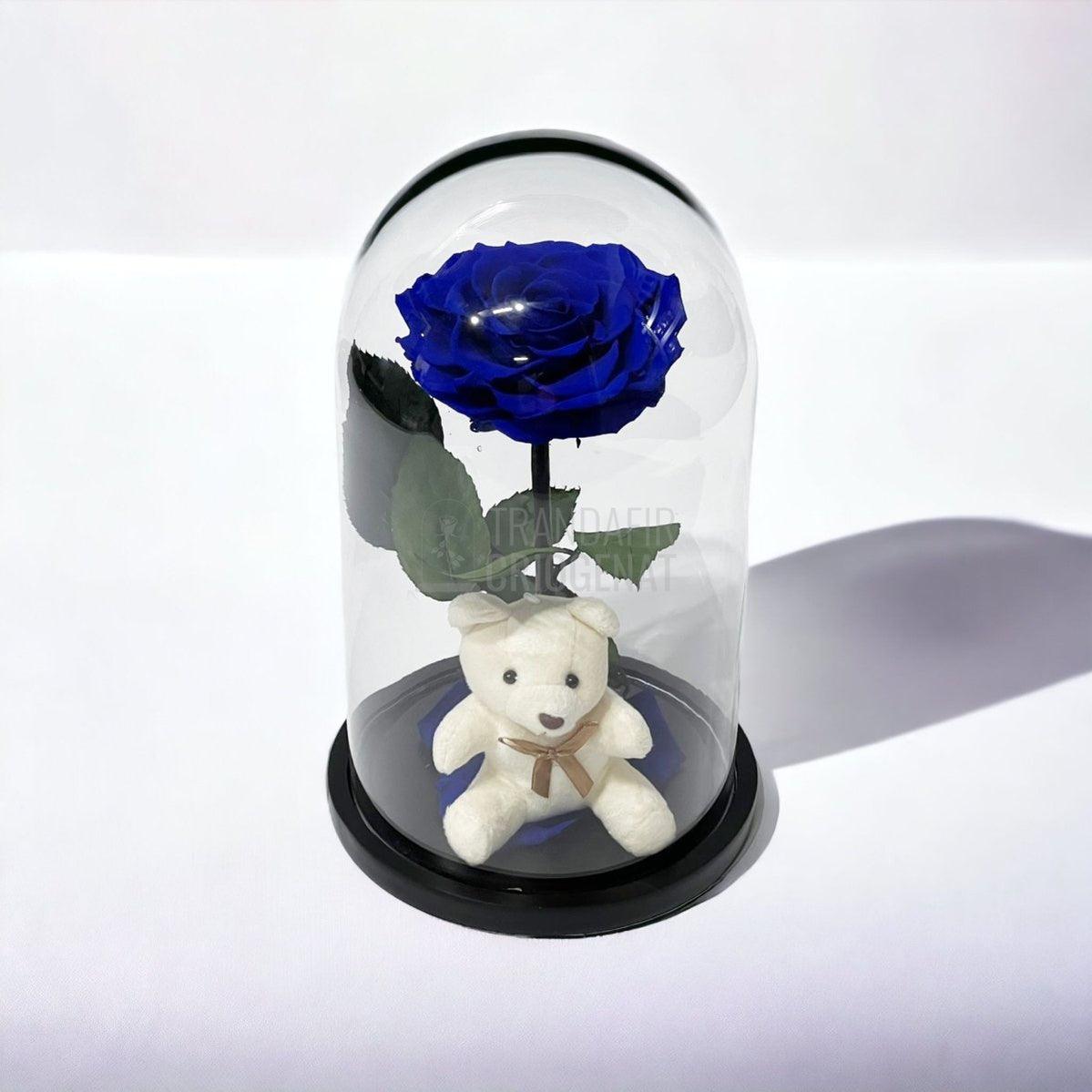 Trandafir Criogenat Bonita albastru in cupola sticla cu Ursulet - Trandafir-Criogenat.ro