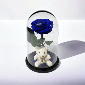 Trandafir Criogenat Bonita albastru in cupola sticla cu Ursulet - Trandafir-Criogenat.ro