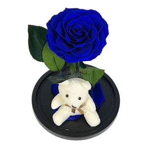 Trandafir Criogenat Bonita albastru in cupola sticla cu Ursulet - Trandafir-Criogenat.ro