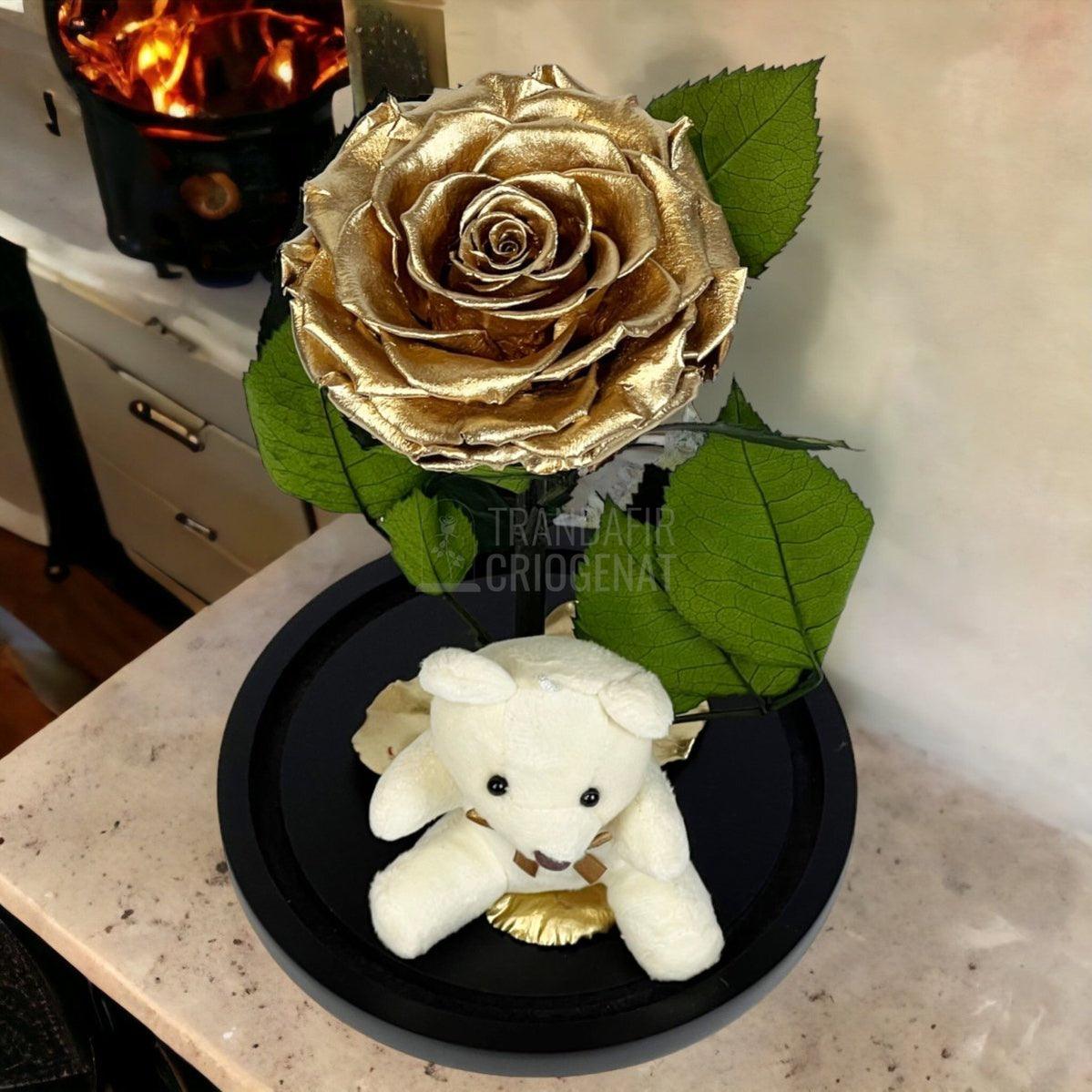 Trandafir Criogenat Bonita auriu in cupola sticla cu Ursulet - Trandafir-Criogenat.ro