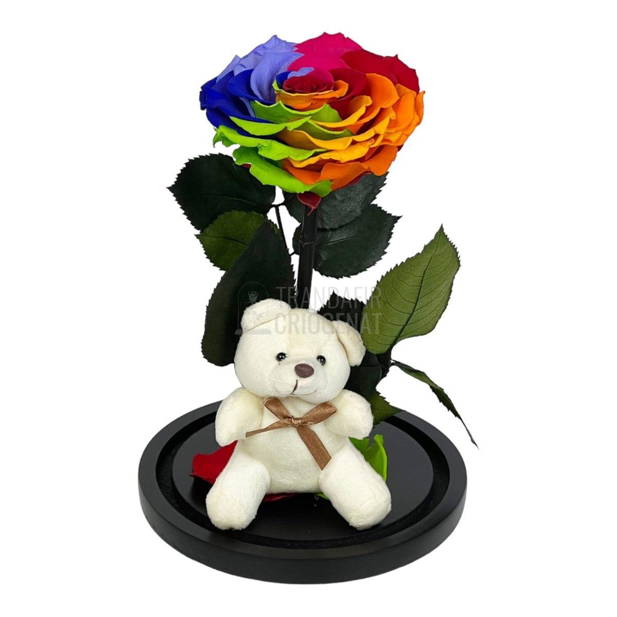 Trandafir Criogenat Bonita multicolor in cupola sticla cu Ursulet - Trandafir-Criogenat.ro