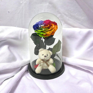 Trandafir Criogenat Bonita multicolor in cupola sticla cu Ursulet - Trandafir-Criogenat.ro