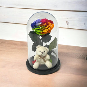 Trandafir Criogenat Bonita multicolor in cupola sticla cu Ursulet - Trandafir-Criogenat.ro