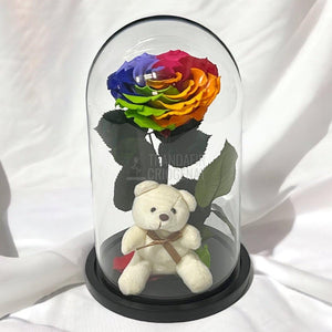 Trandafir Criogenat Bonita multicolor in cupola sticla cu Ursulet - Trandafir-Criogenat.ro