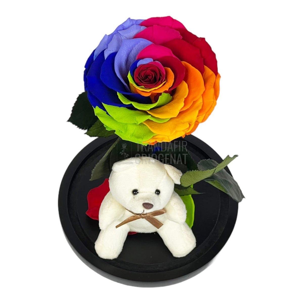 Trandafir Criogenat Bonita multicolor in cupola sticla cu Ursulet - Trandafir-Criogenat.ro