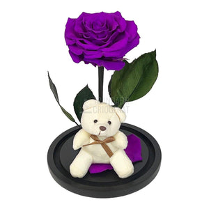 Trandafir Criogenat Bonita purpuriu in cupola sticla cu Ursulet - Trandafir-Criogenat.ro