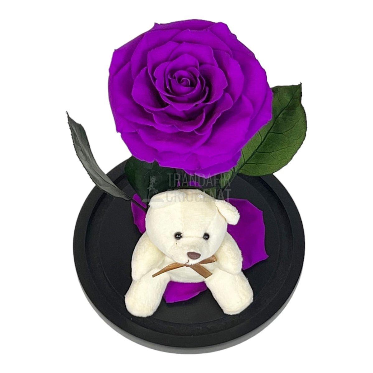 Trandafir Criogenat Bonita purpuriu in cupola sticla cu Ursulet - Trandafir-Criogenat.ro