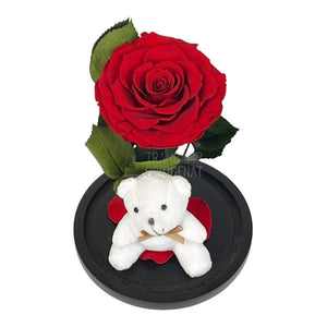 Trandafir Criogenat Bonita rosu in cupola sticla cu Ursulet - Trandafir-Criogenat.ro