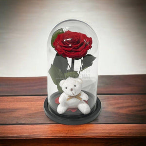 Trandafir Criogenat Bonita rosu in cupola sticla cu Ursulet - Trandafir-Criogenat.ro