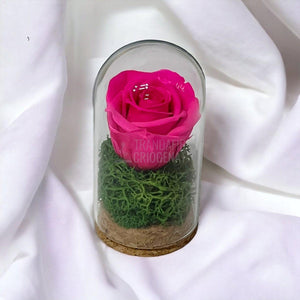 Trandafir Criogenat ciclam in cupola de sticla 5x9,5cm (marturie) - Trandafir-Criogenat.ro