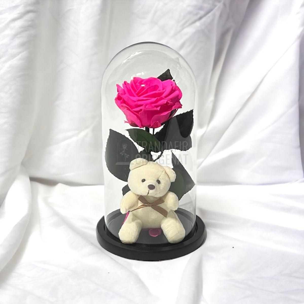 Trandafir Criogenat ciclam Ø8cm in cupola sticla cu Ursulet - Trandafir-Criogenat.ro