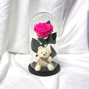 Trandafir Criogenat ciclam Ø8cm in cupola sticla cu Ursulet - Trandafir-Criogenat.ro