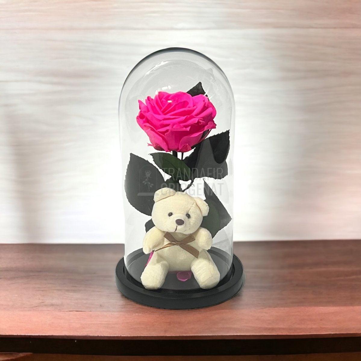 Trandafir Criogenat ciclam Ø8cm in cupola sticla cu Ursulet - Trandafir-Criogenat.ro