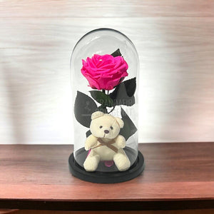 Trandafir Criogenat ciclam Ø8cm in cupola sticla cu Ursulet - Trandafir-Criogenat.ro