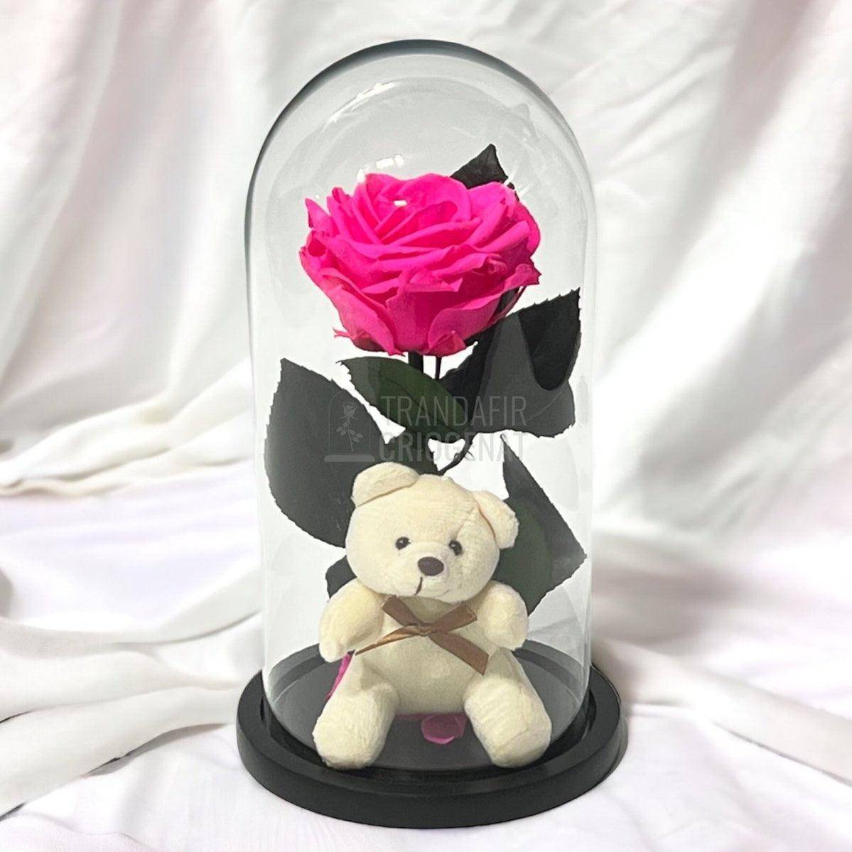 Trandafir Criogenat ciclam Ø8cm in cupola sticla cu Ursulet - Trandafir-Criogenat.ro