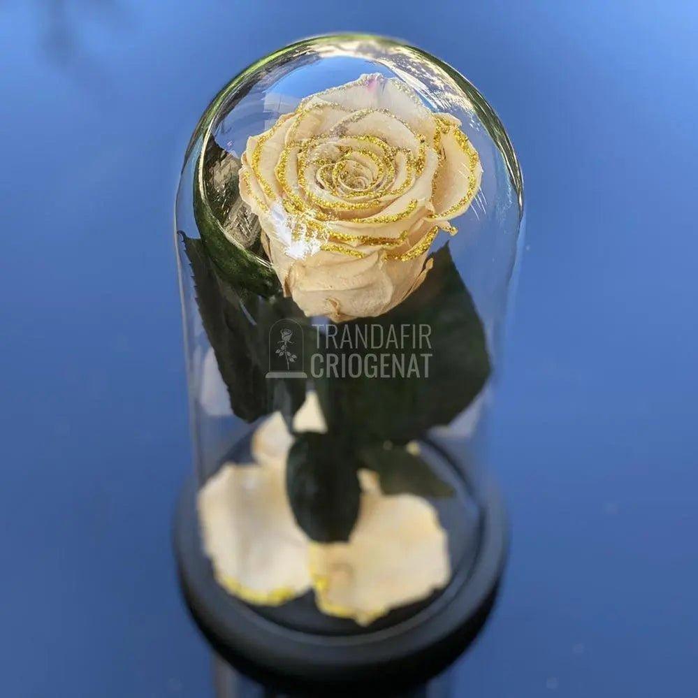 Trandafir Criogenat crem cu sclipici Ø6,5cm in cupola 10x20cm - Trandafir-Criogenat.ro