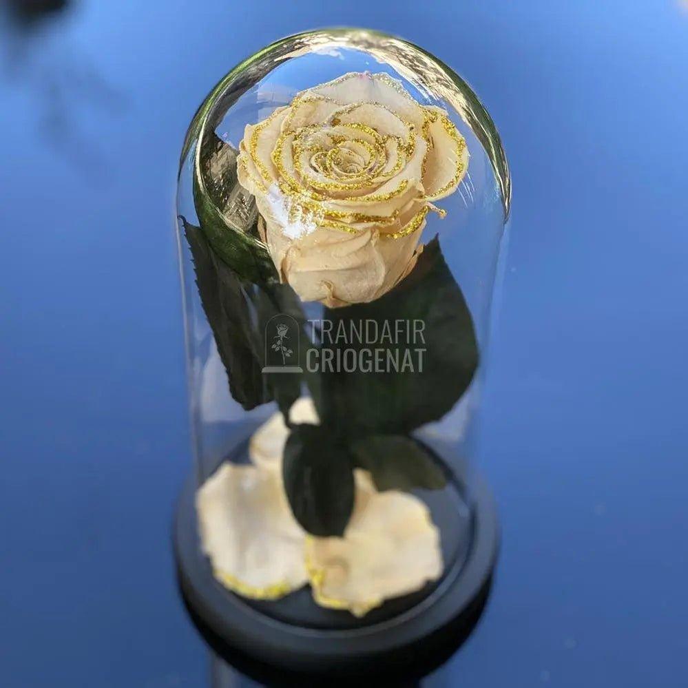 Trandafir Criogenat crem cu sclipici Ø6,5cm in cupola 10x20cm - Trandafir-Criogenat.ro