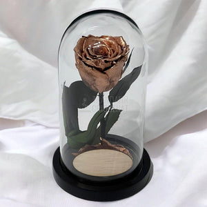 Trandafir Criogenat culoare cupru Ø6,5cm in cupola, cu mesaj - Trandafir-Criogenat.ro